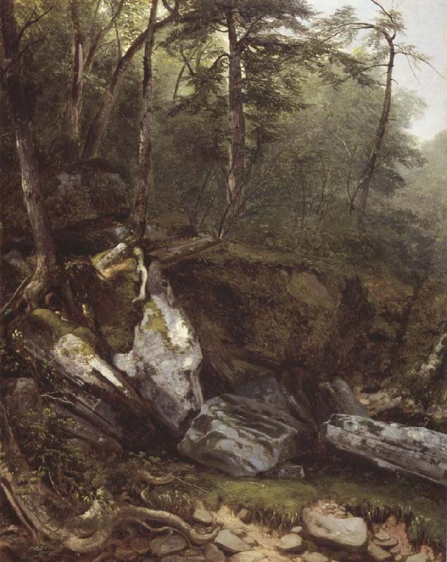 Asher Brown Durand Study from Nature rocks and trees in the Catskills oil painting picture